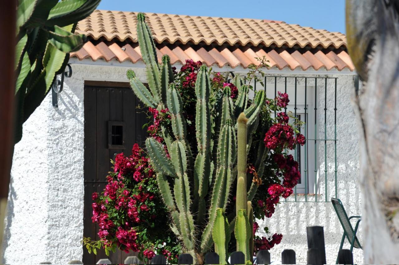 Cortijo Flamingos Apartman Chiclana de la Frontera Kültér fotó
